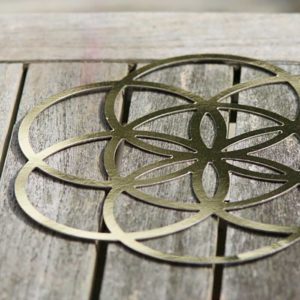 INFEA® ''Saat des Lebens'' natur Ø 19cm – Bild 4